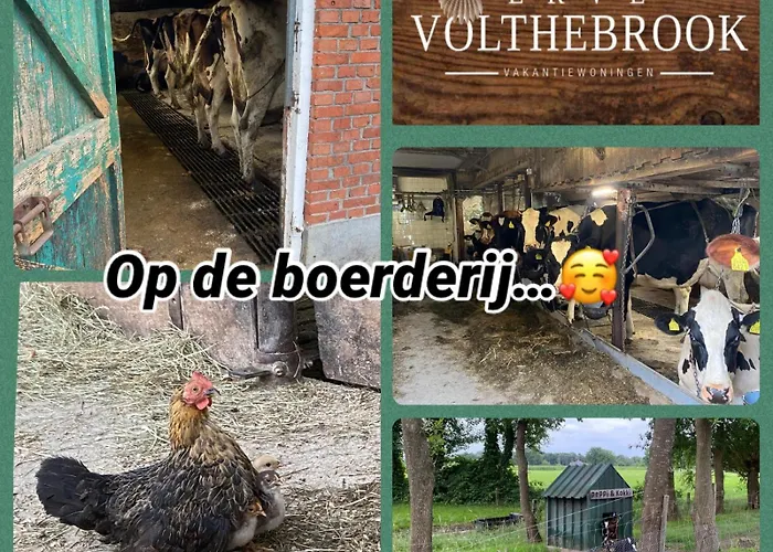 Erve Volthebrook